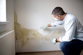 Mold Removal for HVAC Installations